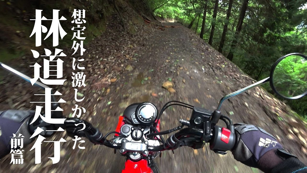 【1:林道アタック】ハンターカブCT125 で行く 林道ツーリングは想定外に激しかった