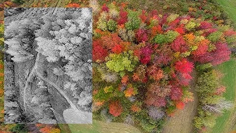 Hyperlite 2307-2722kv return! - Automne edition1