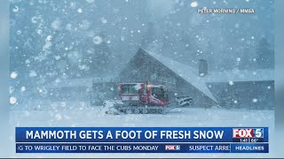 Mammoth Mountain sees 1 ft. of snowfall first week in May