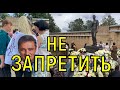 Гнев народа только растет. Могилу Юрия Шатунова не обошли стороной.