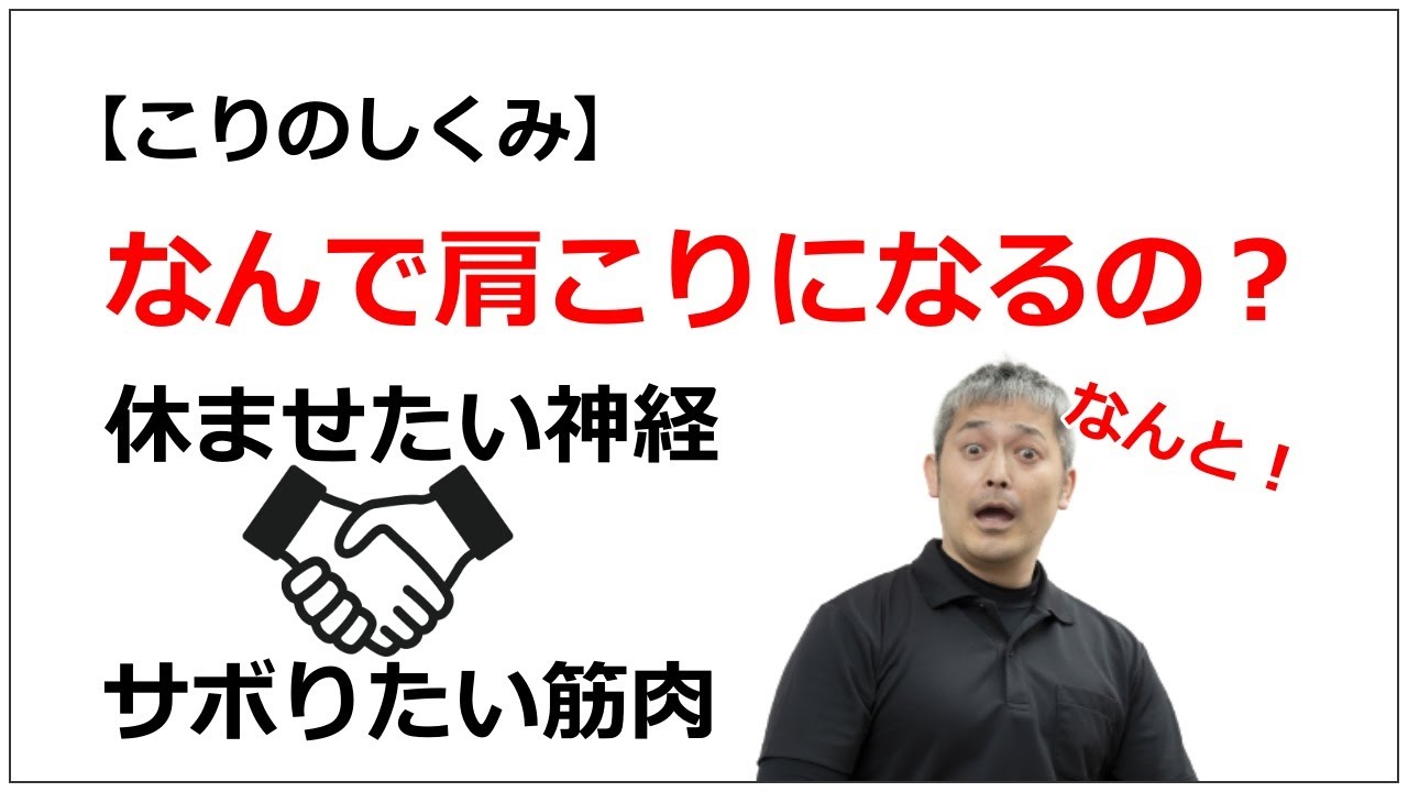 【コリのしくみ】肩こり、首コリ、背中のコリ「こり」って何?サボりたい筋肉と休ませたい神経が手を組んだ - YouTube
