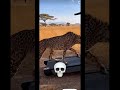 🤫💀☠️