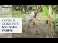 Nigerian farmers struggle with rising food production costs amid crisis