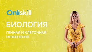 Биология 11 класс: Генная и клеточная инженерия