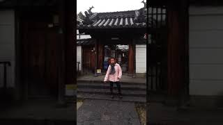 1061223(六) 呂妍沁 日本奈良 Day02 ■東大寺  ■奈良公園  ■美食  ■格子之家 ■玩具歷史博物館 ■興福寺 ■奈良街景(46)
