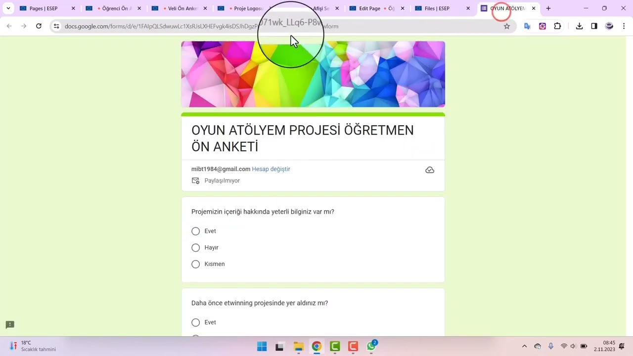 ESEP ANKET ANALİZ SAYFASI DÜZENLEME