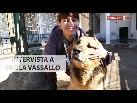 Video: Cane accettabile della settimana-Lio