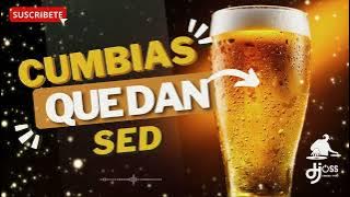 Mix Cumbias que dan sed  - Dj Joss Chincha - Perú 2024 (Chechito, Agua marina, armonia 10, etc)
