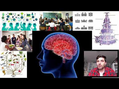 Видео: Какво е невропластичност