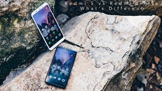 Redmi 5 vs Redmi Note 5 - What's Different