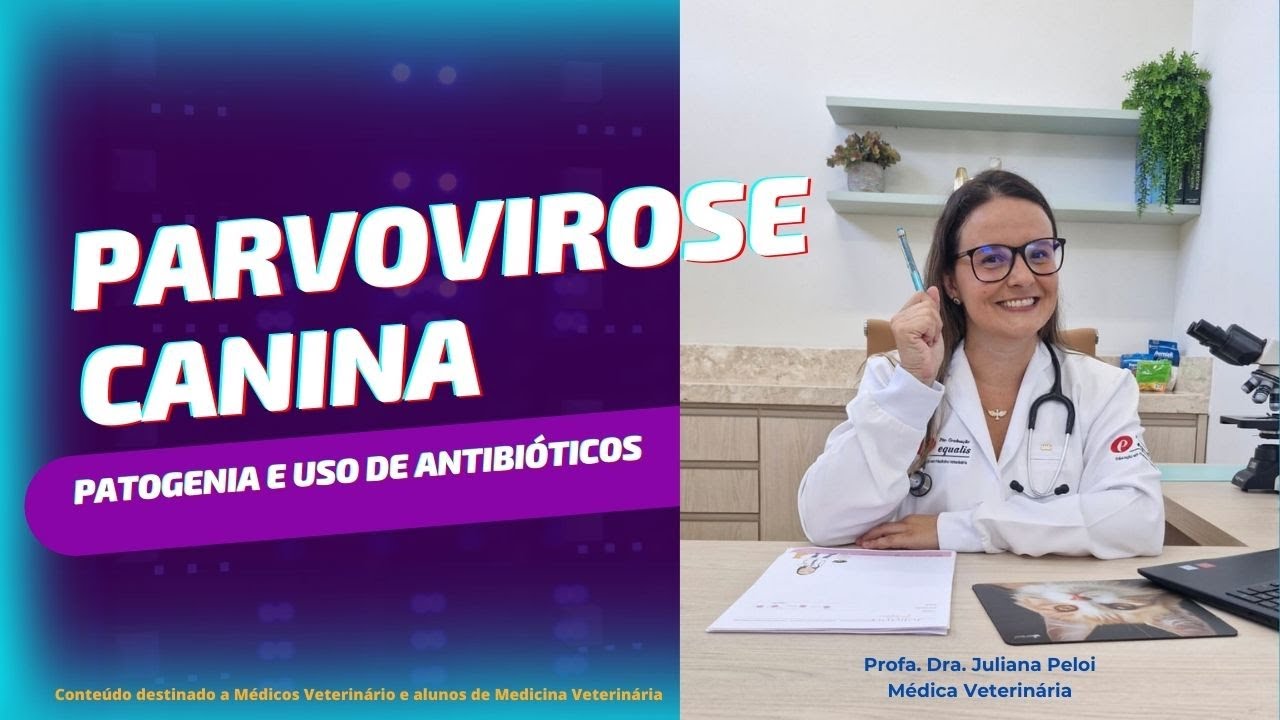Qual O Melhor Antibiótico Para Parvovirose - RETOEDU