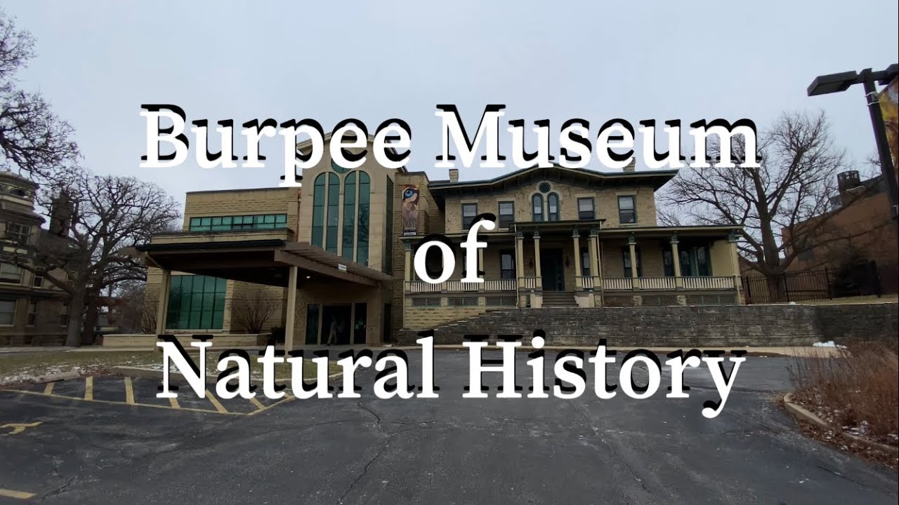 Burpee Museum of Natural History YouTube