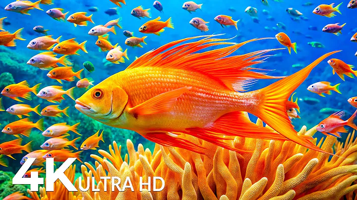Marvel at Sea Animal in The Best 4K ULTRAHD Aquarium, Dive Into The Mesmerizing Underwater Realm #10