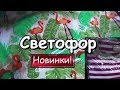 СВЕТОФОР  УДИВЛЯЕТ🚦ЗАМАНЧИВЫЕ  НОВИНКИ КАЖДЫЙ  ДЕНЬ🙋ОБЗОР из МАГАЗИНА Июнь