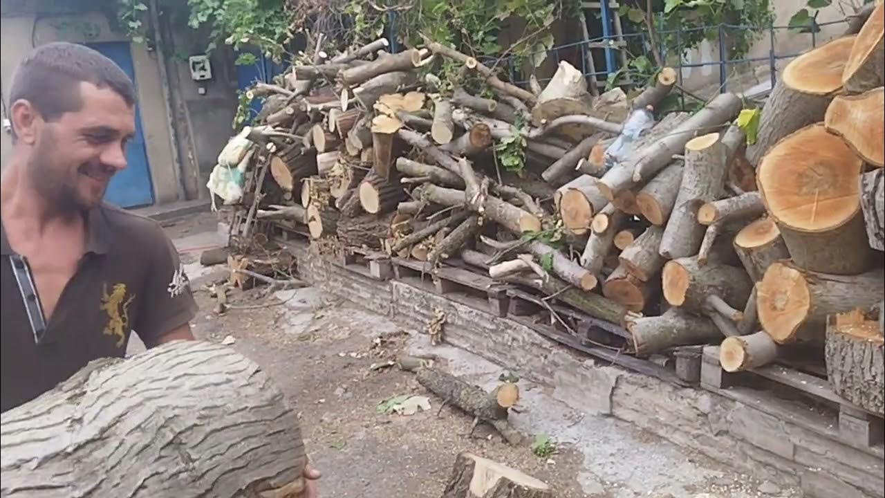 Акумуляторна пилка Procraft против ореха 40см и береста - YouTube