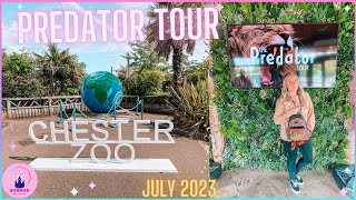 Chester Zoo Vlog Predator Tour July 2023 Early Morning Access Gift Shop Lion Tiger Giraffe Disney