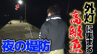 #1 夜の堤防で高級魚が入れ食い状態になった！！