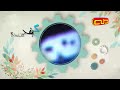 كيف صنعت يوميا 16 30 عصرا يعاد 08 30 صباحا بتوقيت بيروت قناة طه