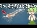 【オキアミの生態の謎】クジラが食べるとオキアミが増えるオキアミのパラドックスとは！？【ずんだもん解説】