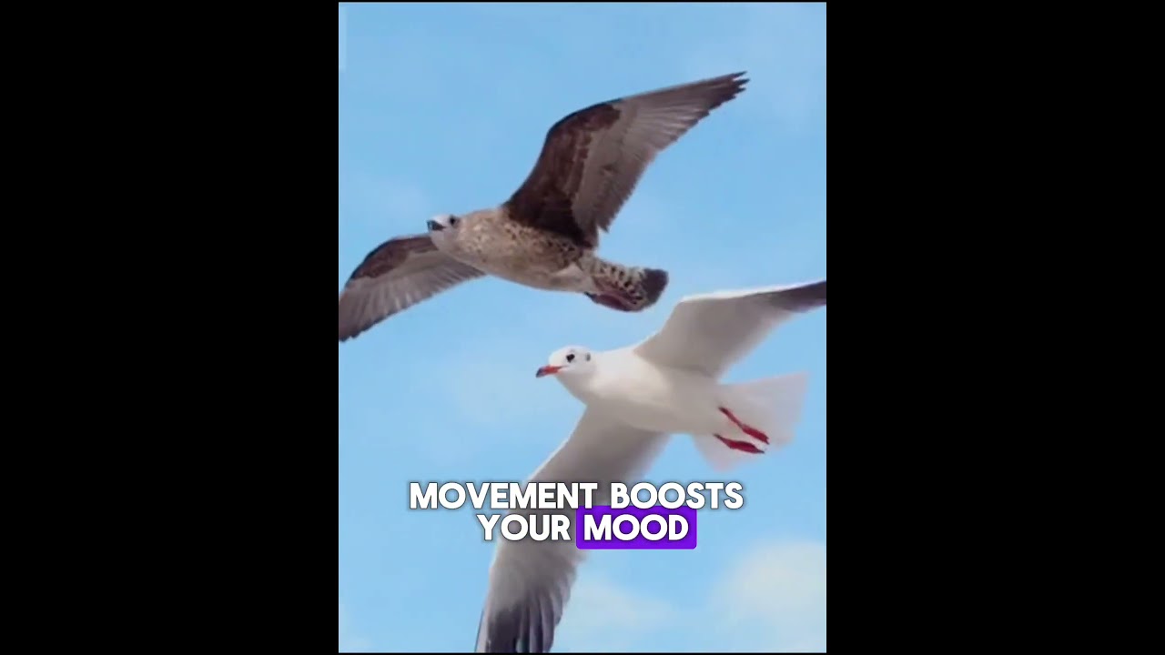 habits that will change your life...