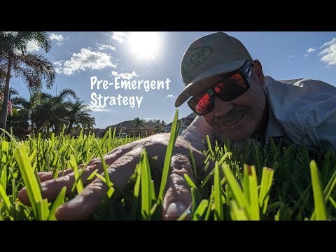 Winter Lawn Care in Florida 2019-2020 // Pre-Emergent Calendar For Florida