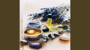 Wicked Backdrops for Endless Dreams