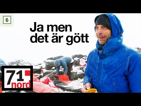 Video: Rester Av Gamle Sivilisasjoner: Vertikale Huler Og Innganger Til Den Indre Jorden - Alternativ Visning