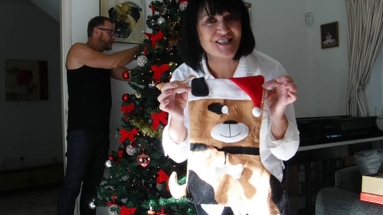 How to put up a Christmas tree ..SailingtheWorld13 ..Chapter 13