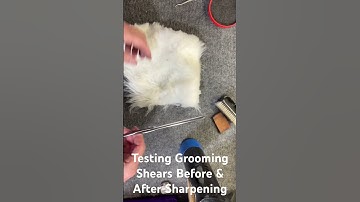 This is how I test grooming shears before and after sharpening. #sharpening