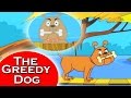 Greedy Dog |  लालची  कुत्ता | Moral Stories for Kids in Hindi by Amar Gathayein