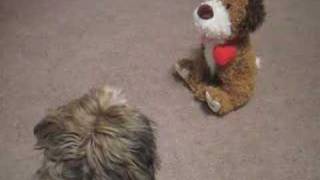 Someone Has A New Valentine