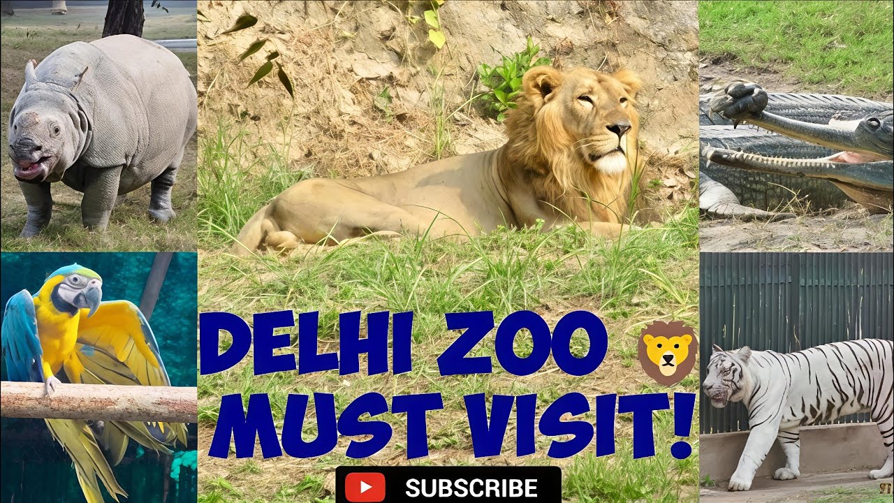 Delhi Zoo Vlog 🐘 | Full Zoo Tour 