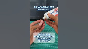 Trik mengusir tikus #creatorkampung #tutorial #tipspraktis #tips #diy #idekreatif #unik #tikus