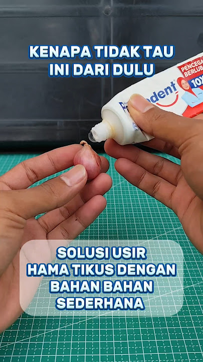 Trik mengusir tikus #creatorkampung #tutorial #tipspraktis #tips #diy #idekreatif #unik #tikus
