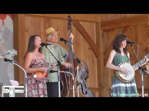 AJ Lee - Cold Sheets Of Rain