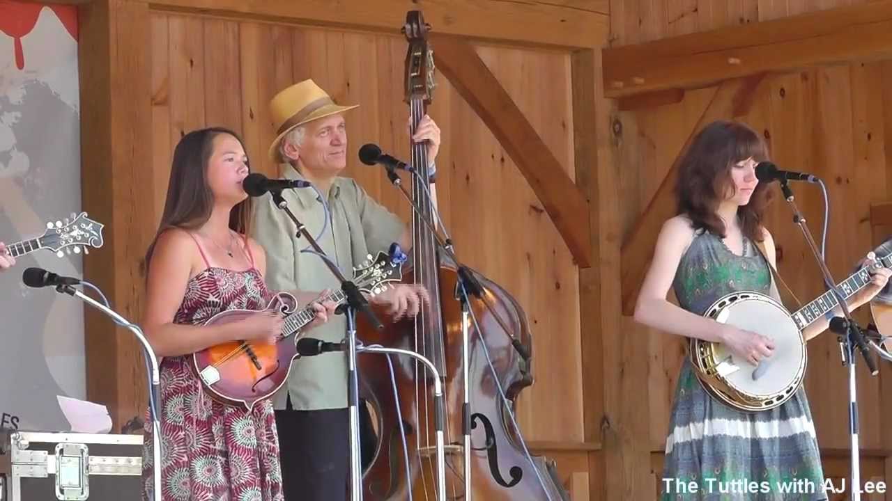 AJ Lee - Cold Sheets Of Rain