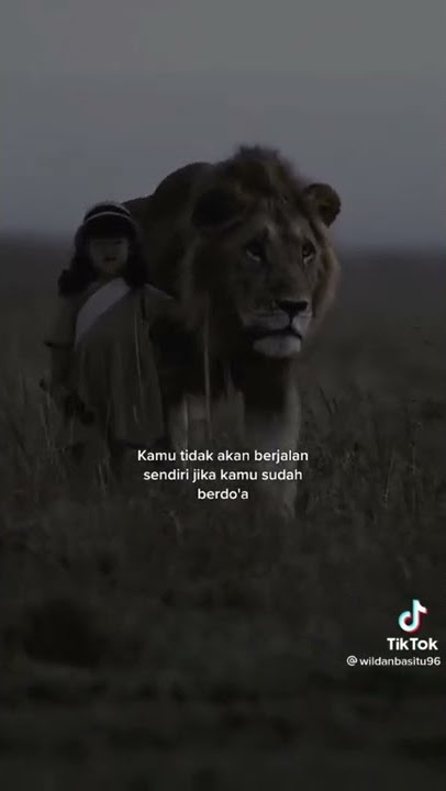 story' wa singa dan anak kecil