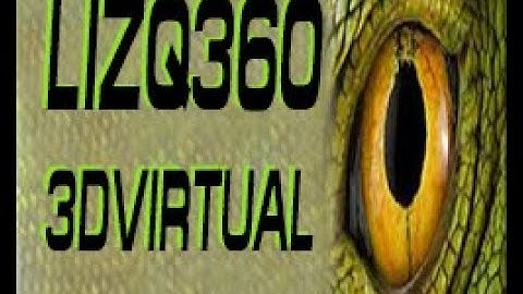 LIZQ360 Setup and Use Demo