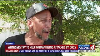 Metro woman mauled by 4 pit bulls