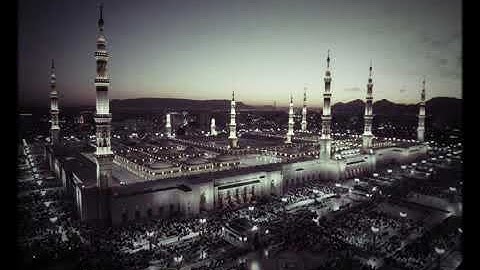 ماهر المعيقلي سورة آل عمران الصفحة (74)