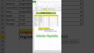 Master Excel SUMIF in 30 Seconds! 💡 | Excel Tips &amp; Tricks #Shorts