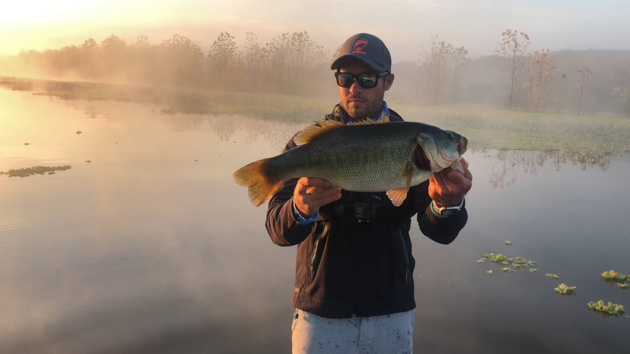 UNBELIEVABLE DAY BASS FISHING at Albert Falls, South Africa. - YouTube