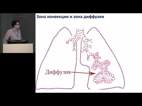 Видео: ХОБЛ Патофизиология: физические изменения, влияние на легкие и многое другое