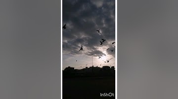ماتيسر من سورة الإسراء من آيه ٩  إلى ١١ 💙🤍✨.
