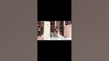 Apple sorting system # Fruit sorting machine # Automation equipment # Roller conveyor #Belt conveyor