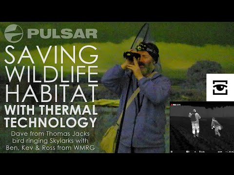 Pulsar saving wildlife habitat with thermal technology: Bird ringing with WMRG and the Merger XL50