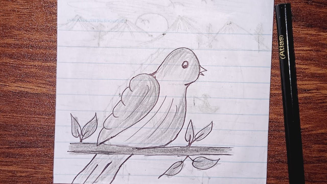 Easy Bird Drawing  | Simple Step-by-Step Pencil Sketch