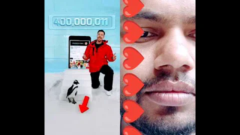 Can I Teach a Penguin To Subscribe? #trending #shorts #viral @Mrbeast