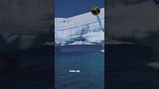 Discover Antarctica’s Icebergs