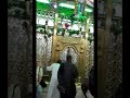 مولد السيدة فاطمة النبويه مولد السيدة فاطمة النبويه